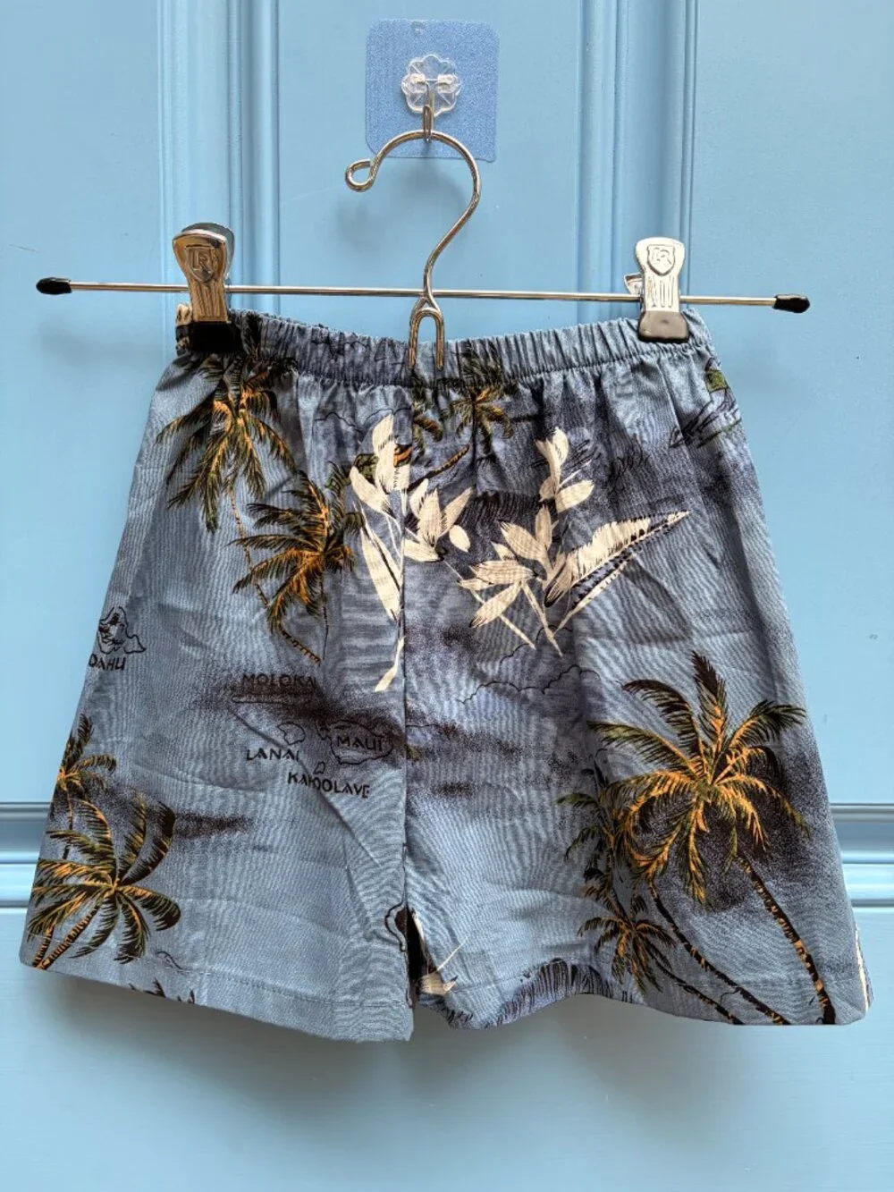 Palmwave Hawaii Blue Tropical Palm Print Shirt & Shorts Set